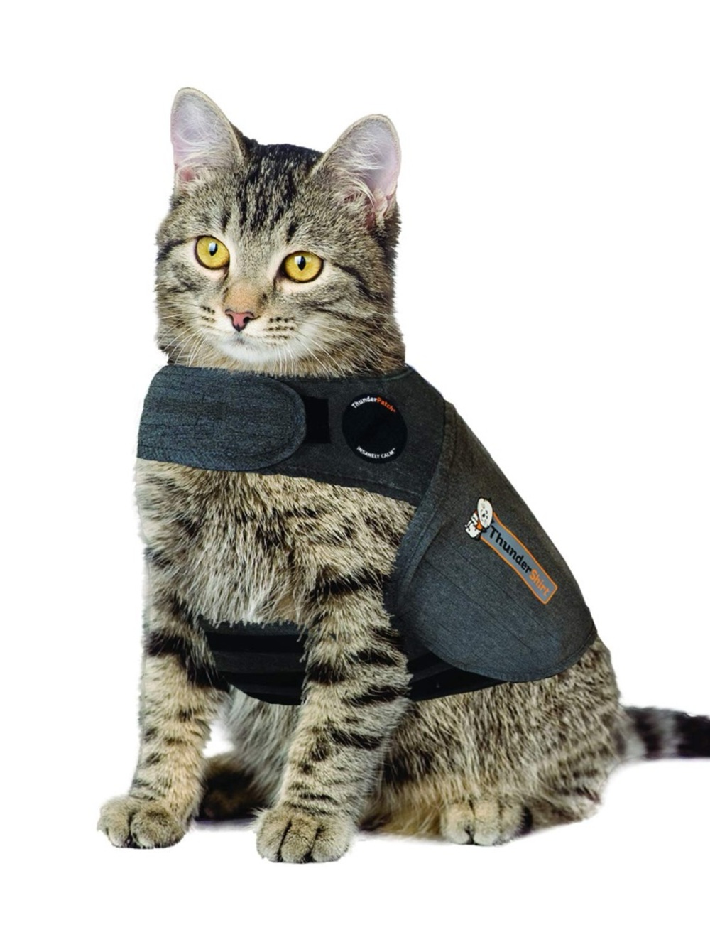 Thundershirt Calming Cat Jacket in Dark Gray